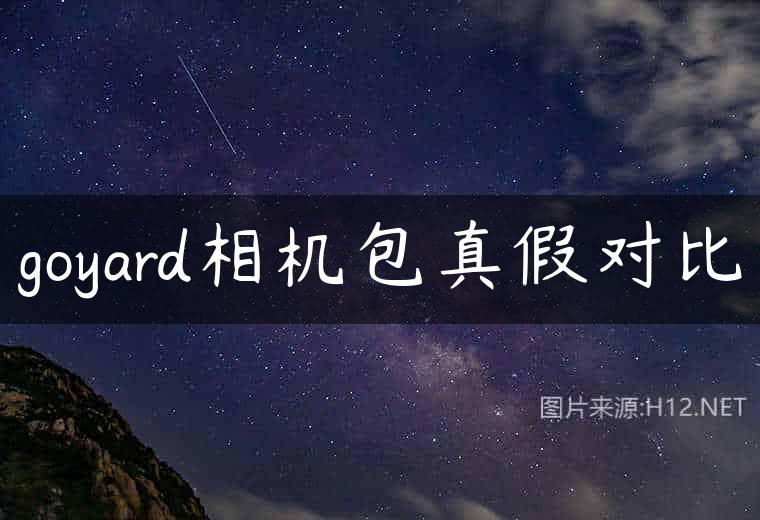 goyard相机包真假对比