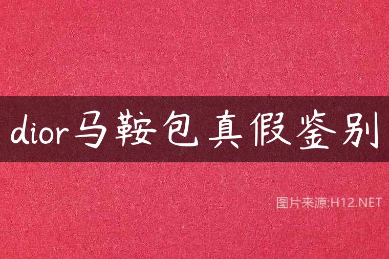 dior马鞍包真假鉴别
