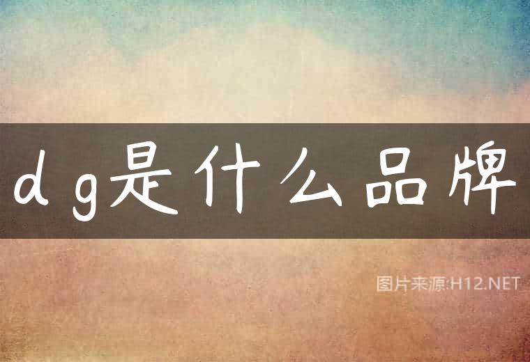 d g是什么品牌
