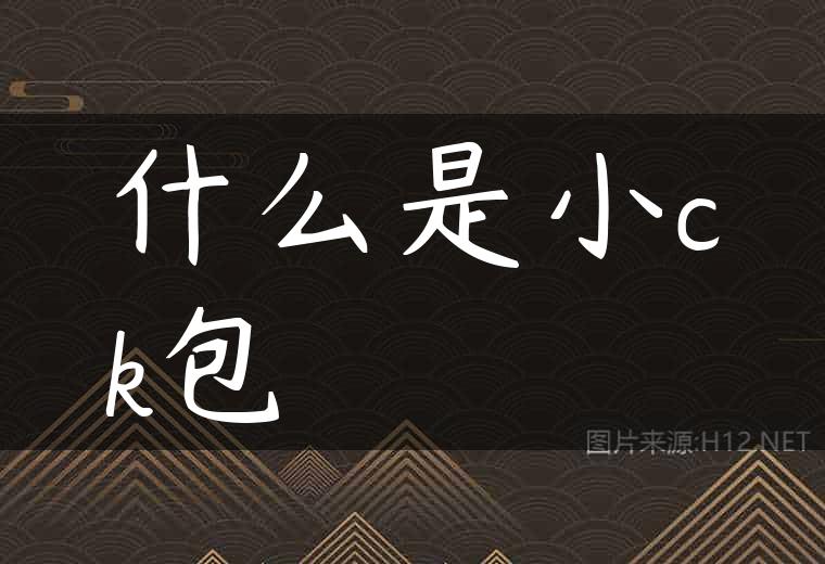 什么是小ck包