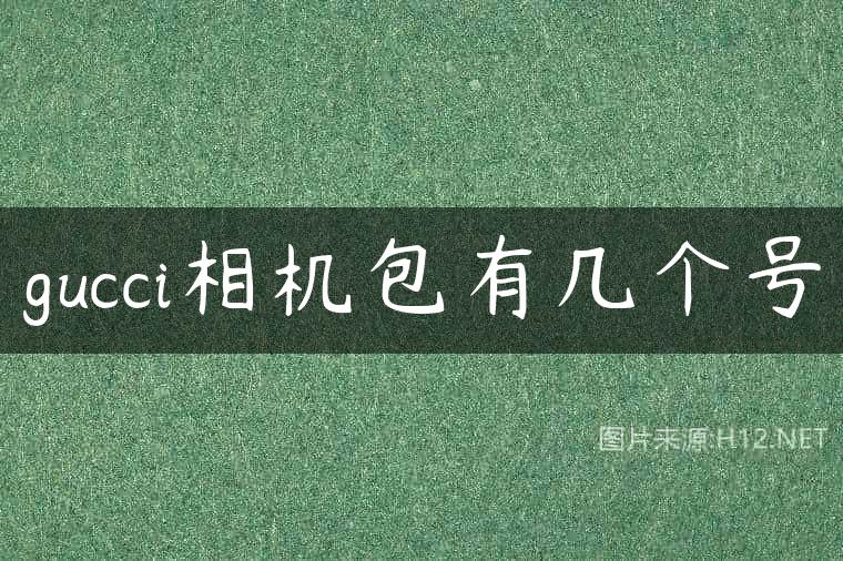 gucci相机包有几个号