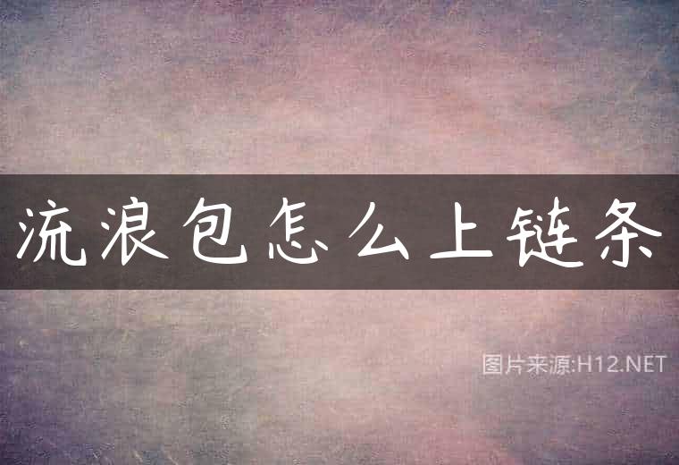 流浪包怎么上链条