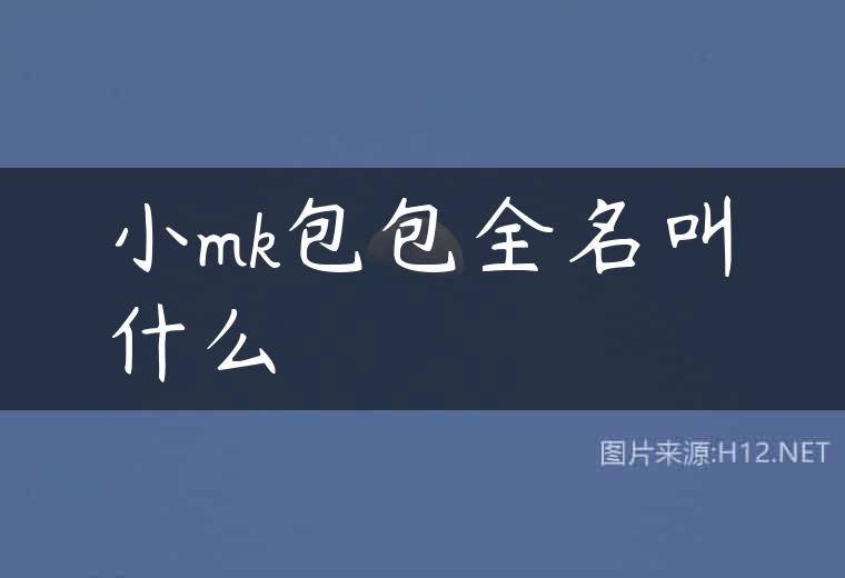 小mk包包全名叫什么