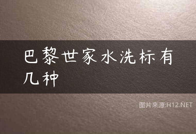 巴黎世家水洗标有几种