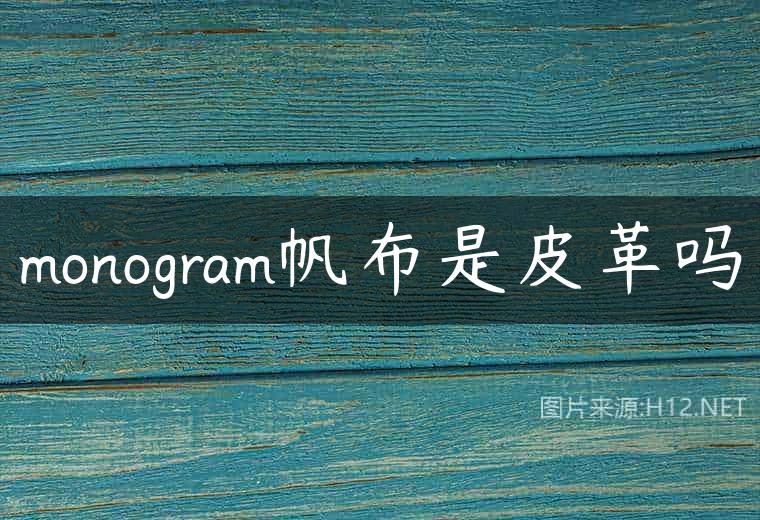 monogram帆布是皮革吗