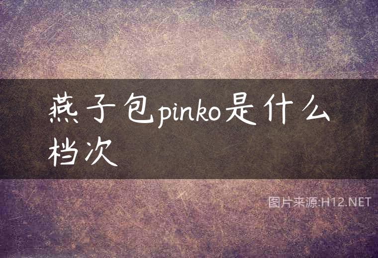 燕子包pinko是什么档次