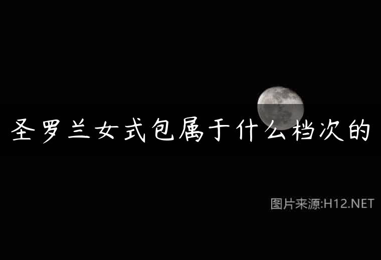 圣罗兰女式包属于什么档次的