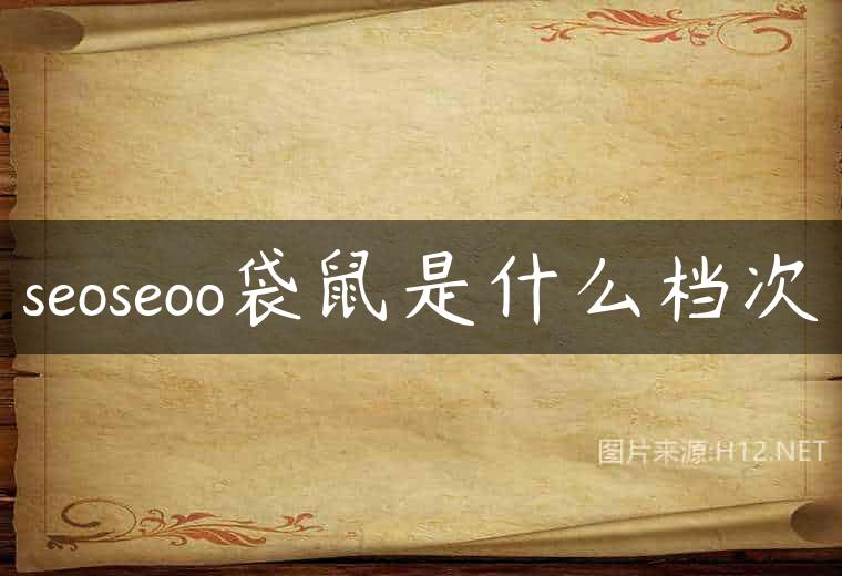 seoseoo袋鼠是什么档次