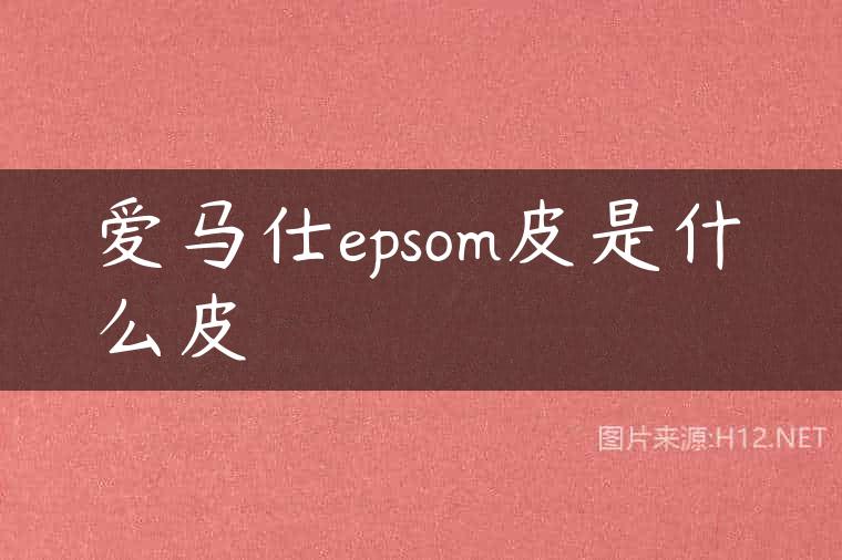 爱马仕epsom皮是什么皮