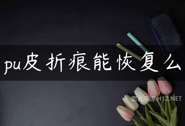 pu皮折痕能恢复么
