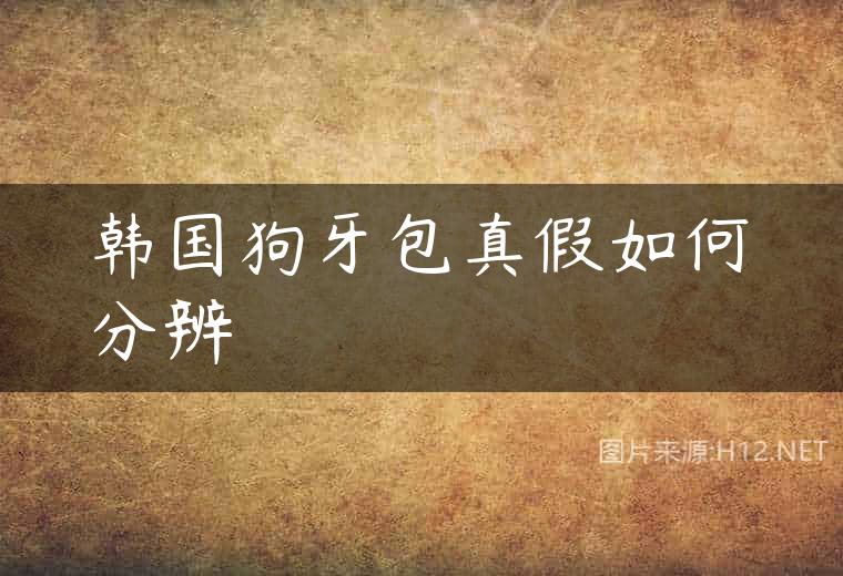 韩国狗牙包真假如何分辨