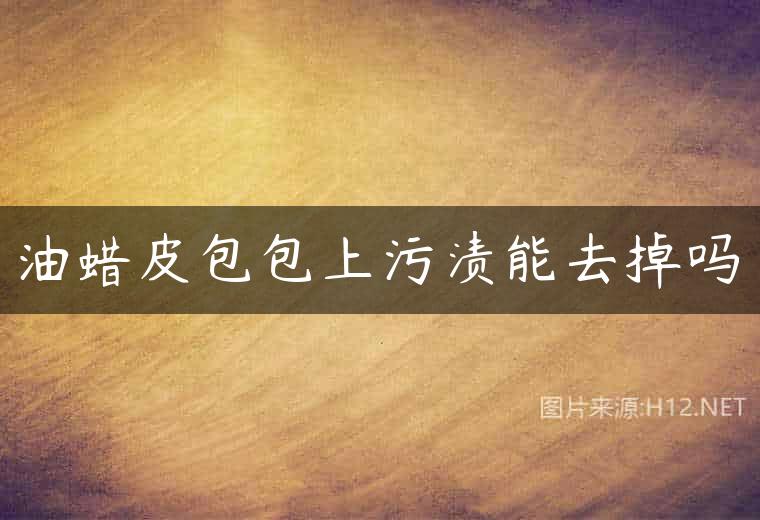 油蜡皮包包上污渍能去掉吗