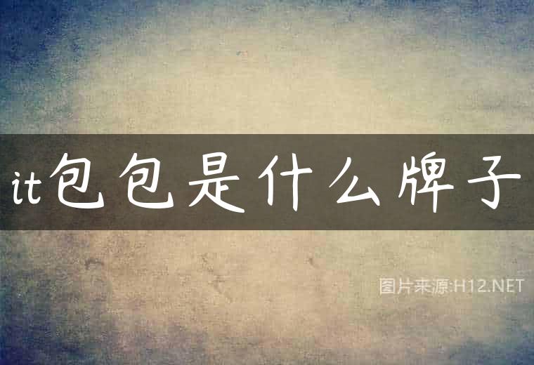 it包包是什么牌子