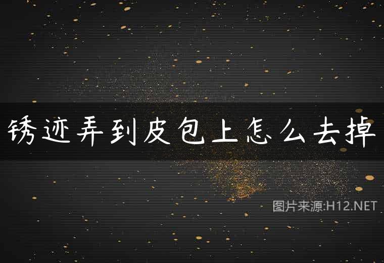 锈迹弄到皮包上怎么去掉