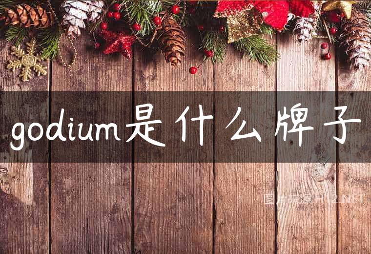 godium是什么牌子