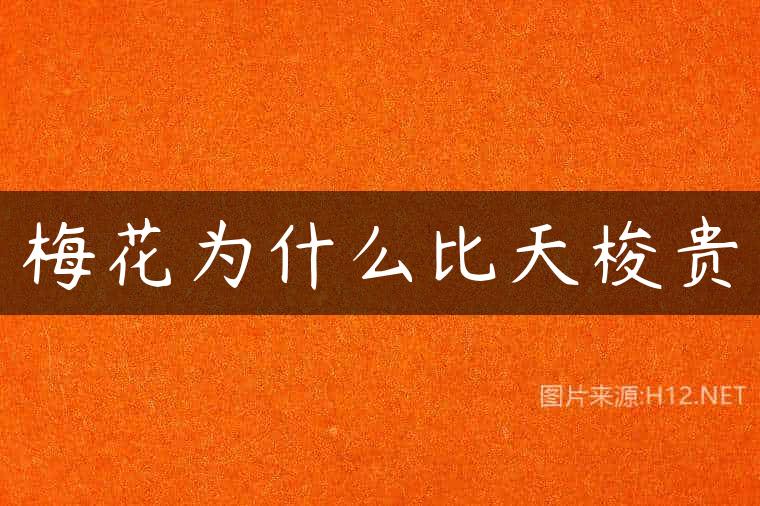 梅花为什么比天梭贵