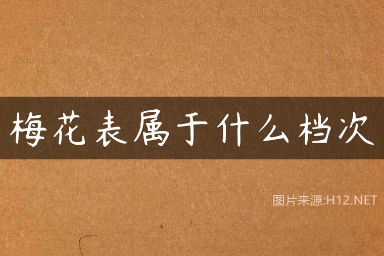 梅花表属于什么档次
