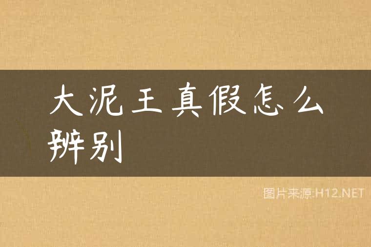 大泥王真假怎么辨别