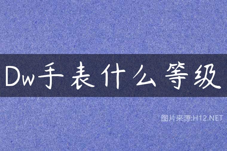 Dw手表什么等级