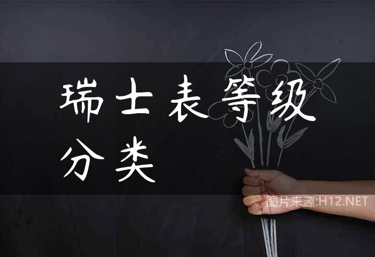瑞士表等级分类