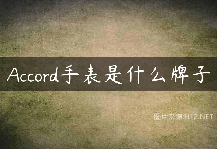 Accord手表是什么牌子