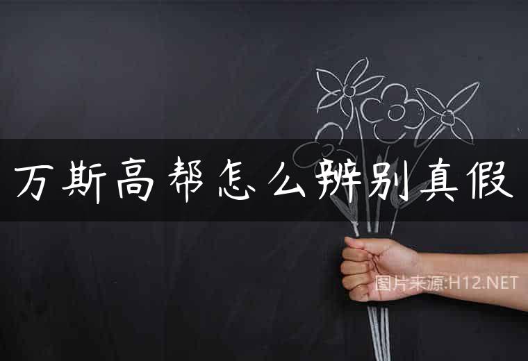 万斯高帮怎么辨别真假