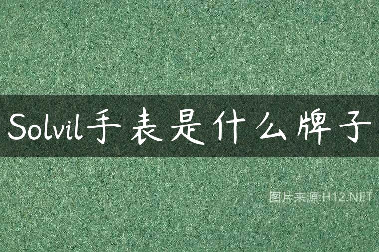 Solvil手表是什么牌子