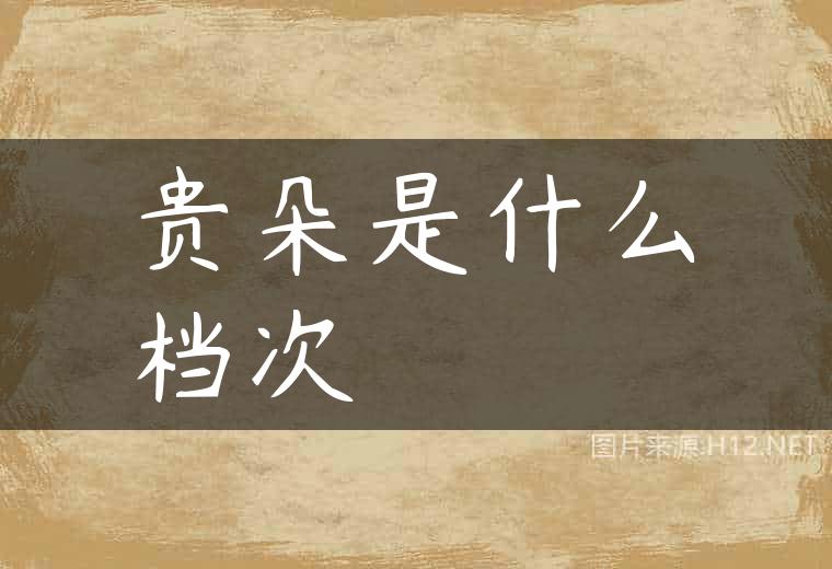 贵朵是什么档次