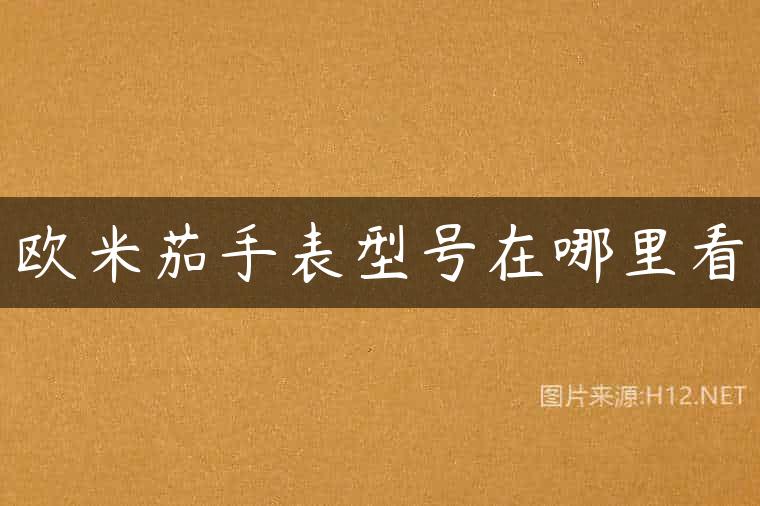 欧米茄手表型号在哪里看