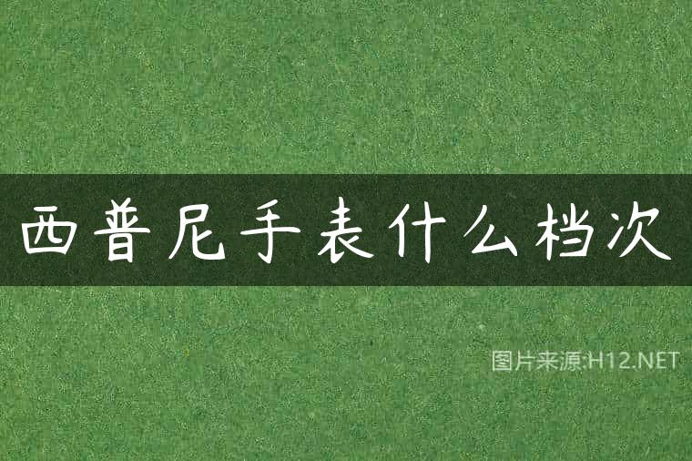 西普尼手表什么档次