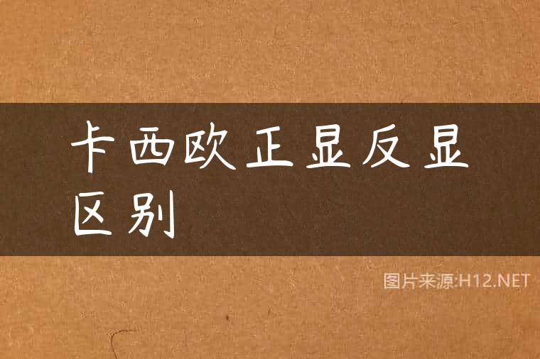 卡西欧正显反显区别