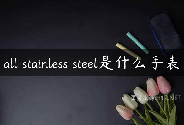 all stainless steel是什么手表