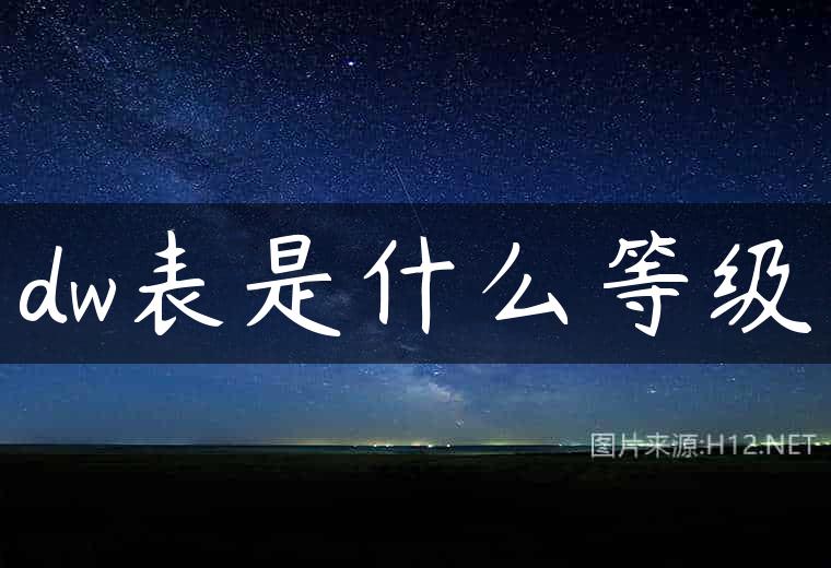 dw表是什么等级