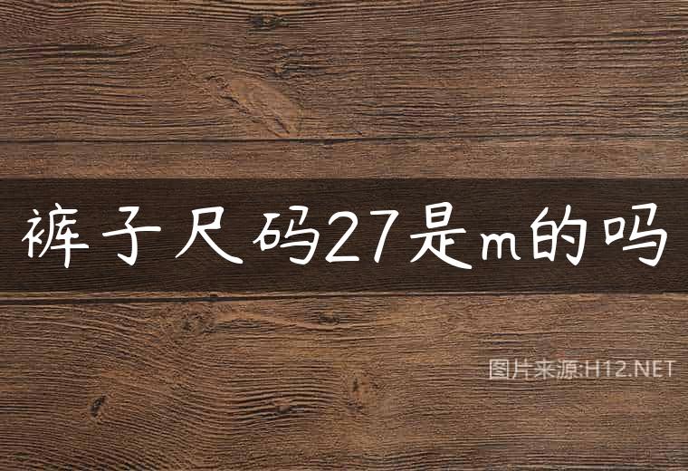裤子尺码27是m的吗