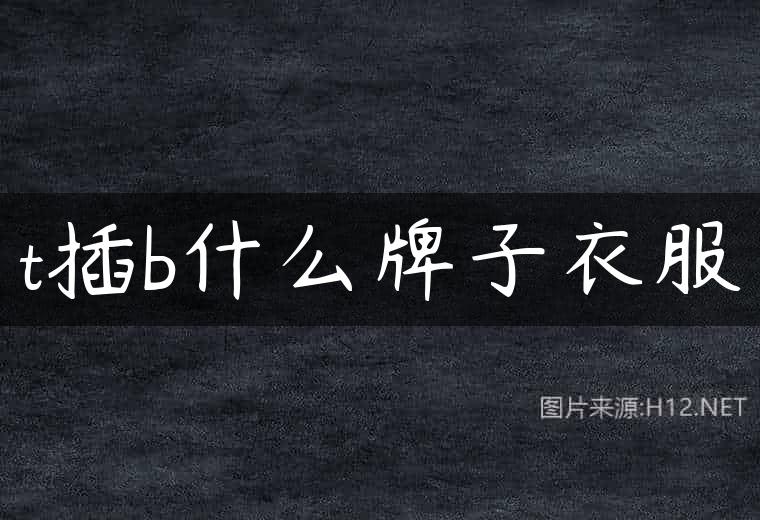 t插b什么牌子衣服