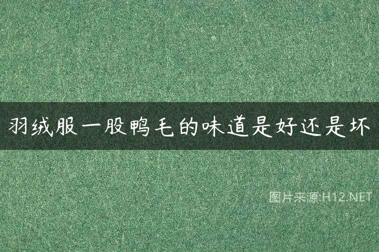 羽绒服一股鸭毛的味道是好还是坏