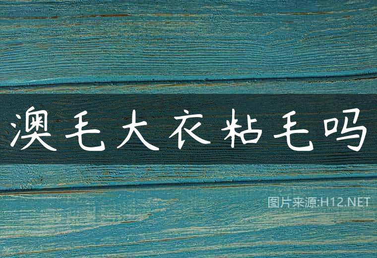澳毛大衣粘毛吗