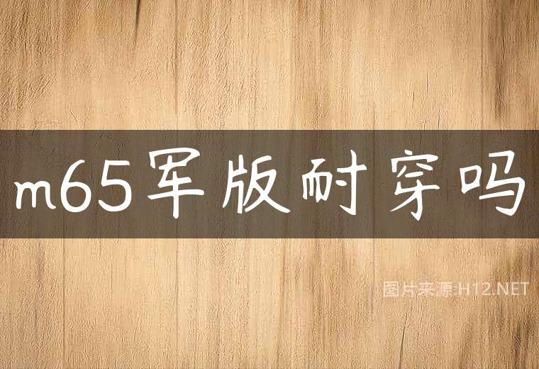m65军版耐穿吗