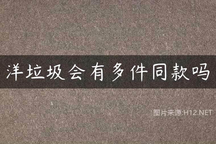 洋垃圾会有多件同款吗