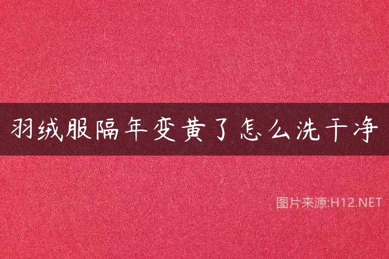 羽绒服隔年变黄了怎么洗干净