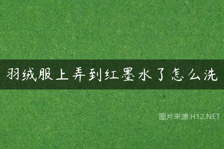 羽绒服上弄到红墨水了怎么洗