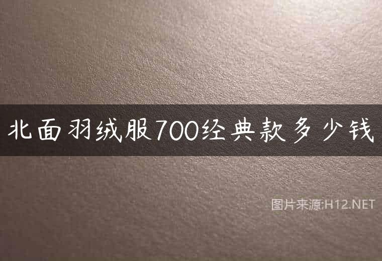 北面羽绒服700经典款多少钱