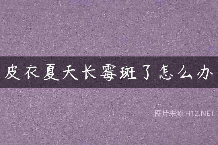 皮衣夏天长霉斑了怎么办