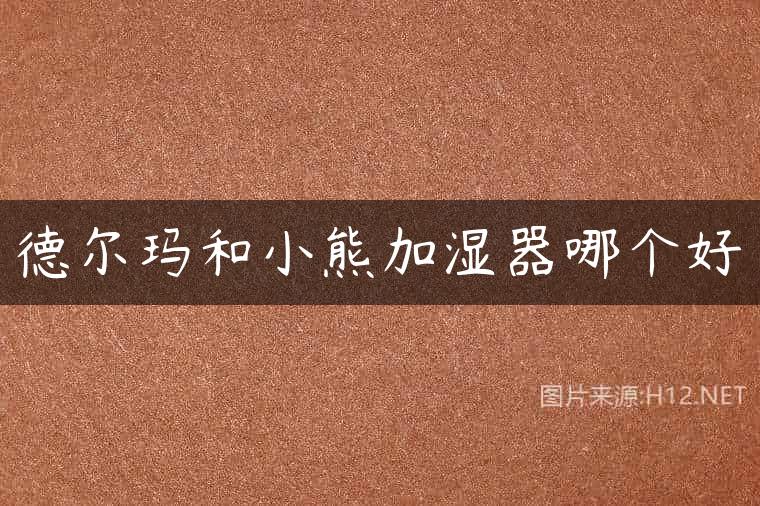 德尔玛和小熊加湿器哪个好