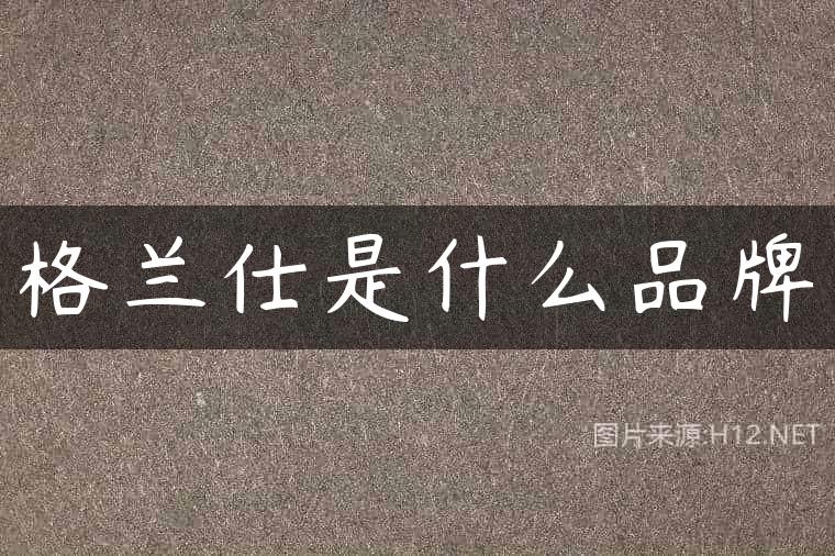 格兰仕是什么品牌