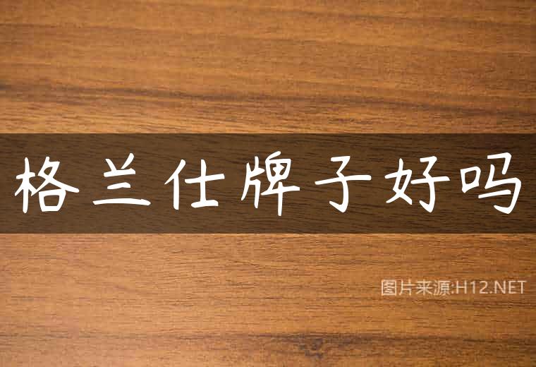格兰仕牌子好吗