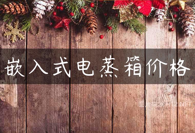 嵌入式电蒸箱价格