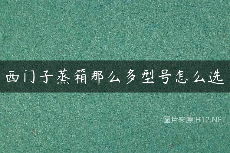 西门子蒸箱那么多型号怎么选