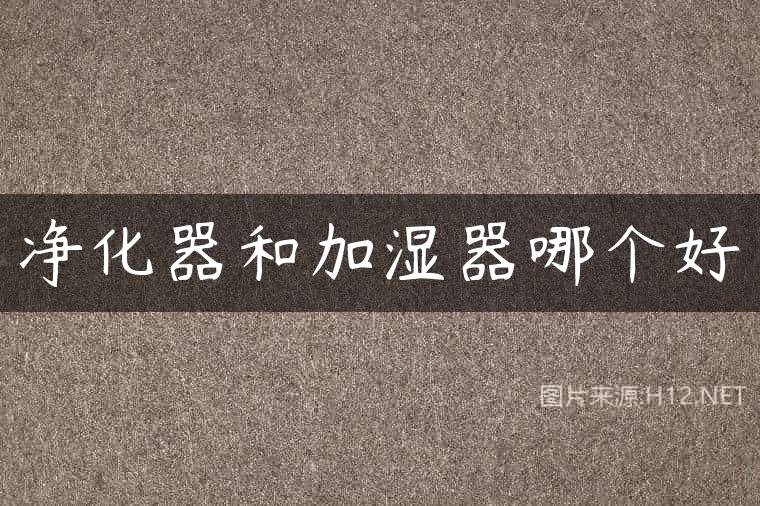 净化器和加湿器哪个好
