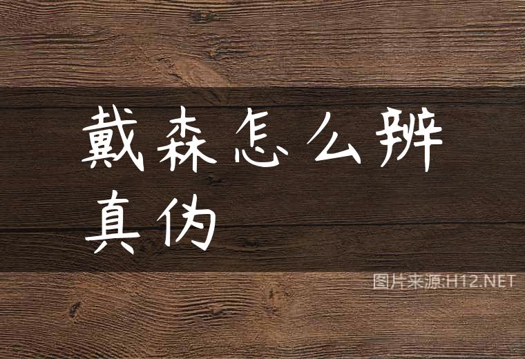 戴森怎么辨真伪